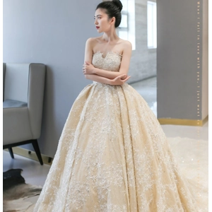 Spring/autumn Star embroidery trailing champagne bridal gown