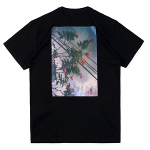 Fear of god Essentials box photo tee
