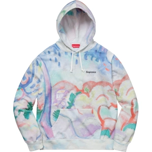 Supreme SS18 Landscape hoodie