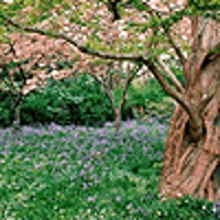 The five 1 ounce pack