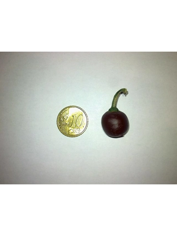 7 Plus Semi/Seeds Rocoto Mini Brown (Mini Rocoto Brown)
