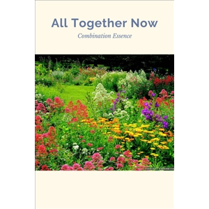 Ready2Study Combination Essence Set