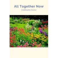 All Together Now Combination..