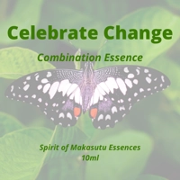 Celebrate Change Combination..