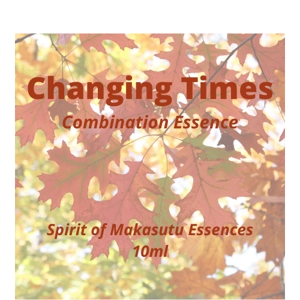 Changing Times Combination Essence