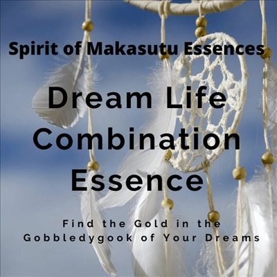 Dream Life Combination ..