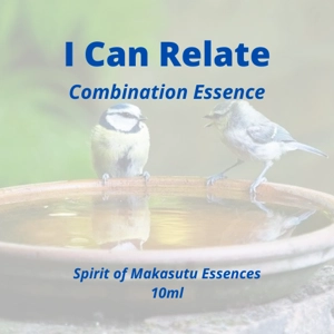 I Can Relate Combination Essence