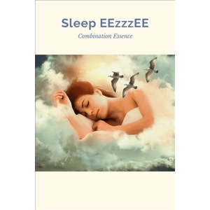 Ready2Study Combination Essence Set