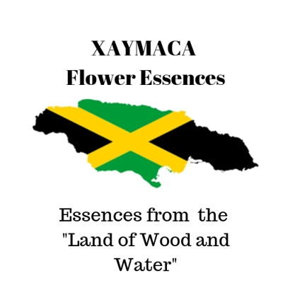 Xaymaca Essences Set