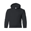 DTC Dog Paw Youth Hoodie