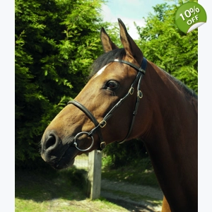 Heritage Leather In-hand Bridle