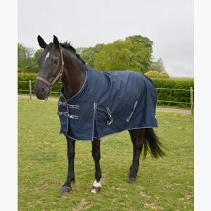 Rhinegold Torrent Light weight Outdoor Rug
