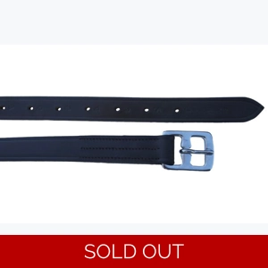 Windsor Leather Childrens Stirrup Leathers