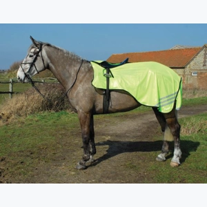 Rhinegold 3/4 Length Yellow Mesh Ride-On Exercise Rug