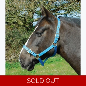 Rhinegold Nylon Headcollar