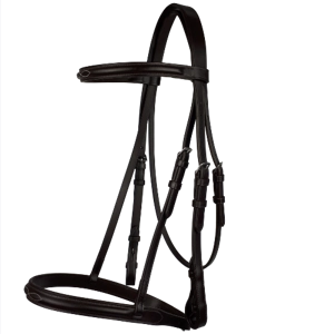 Cameo Raised Cavesson Bridle