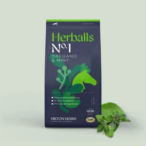 Hilton Herbs Herballs No1 Oregano & Mint- 500gm Bag
