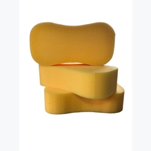 Large Sponge
