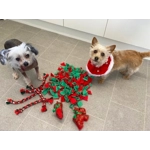 Christmas Snuffle Mat