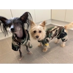 Onesie Pyjamas - fleece