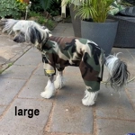 Onesie Pyjamas - fleece