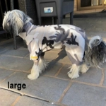 Onesie Pyjamas - fleece