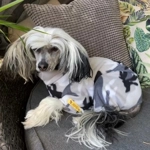 Onesie Pyjamas - fleece