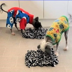 Snuffle Mats