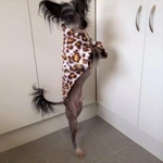 Jumper - animal print. Fleece