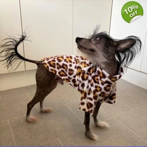 Jumper - animal print. ..