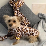 Combo - Scarf, jumper & toy set - Animal print