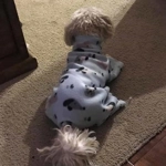 Onesie Pyjamas - fleece