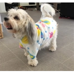 Onesie Pyjamas - fleece