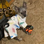 Onesie Pyjamas - fleece