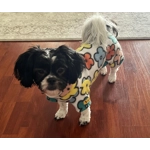 Onesie Pyjamas - fleece