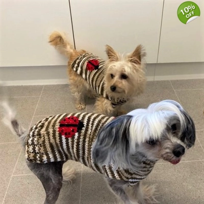 Knitted Jumpers (ladybug)