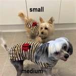 Knitted Jumpers (ladybug)