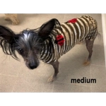 Knitted Jumpers (ladybug)