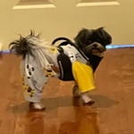 Onesie Pyjamas - fleece