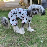 Onesie Pyjamas - fleece