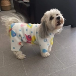 Onesie Pyjamas - fleece