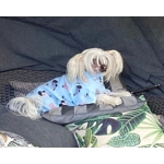 Onesie Pyjamas - fleece