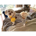 Onesie Pyjamas - fleece