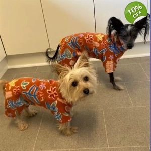 Onesie Pyjamas - fleece