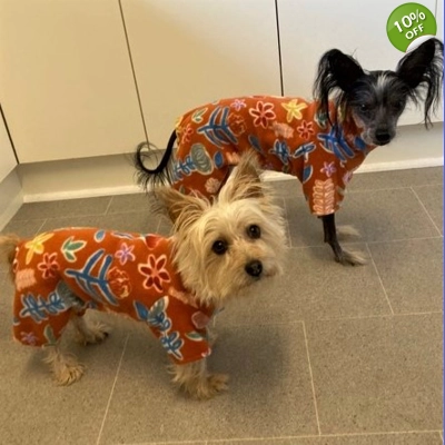 Onesie Pyjamas - fleece