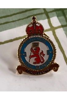 106 Sqn Pin Badge