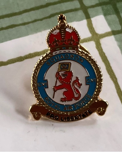 106 Sqn Pin Badge
