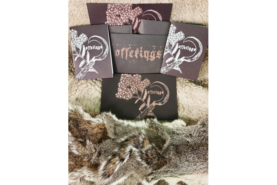 Offerings by Sean M. Huber