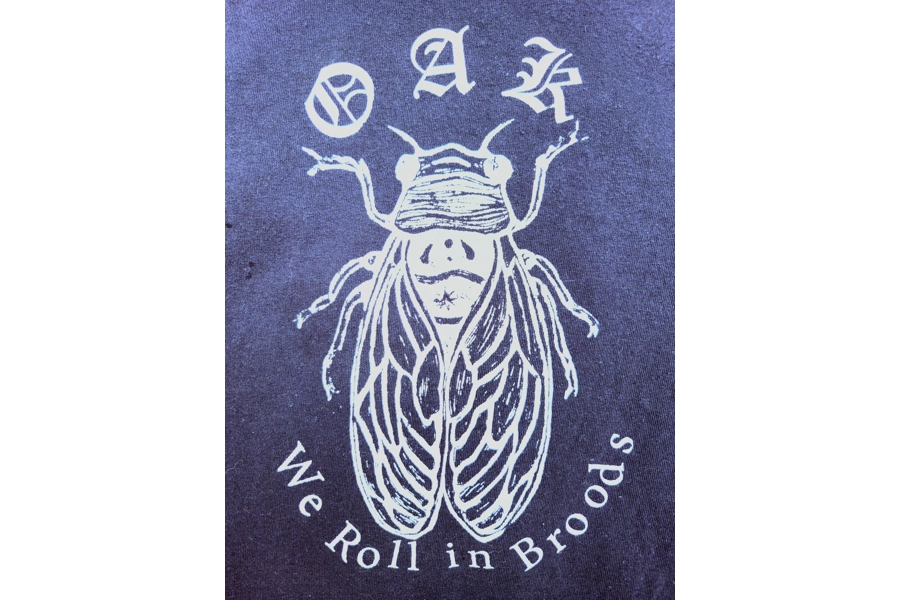 WE ROLL IN BROODS TSHIRT (Shipped Domestic)