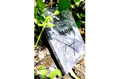 Of Water and Shadow by Tamarix Bagaude